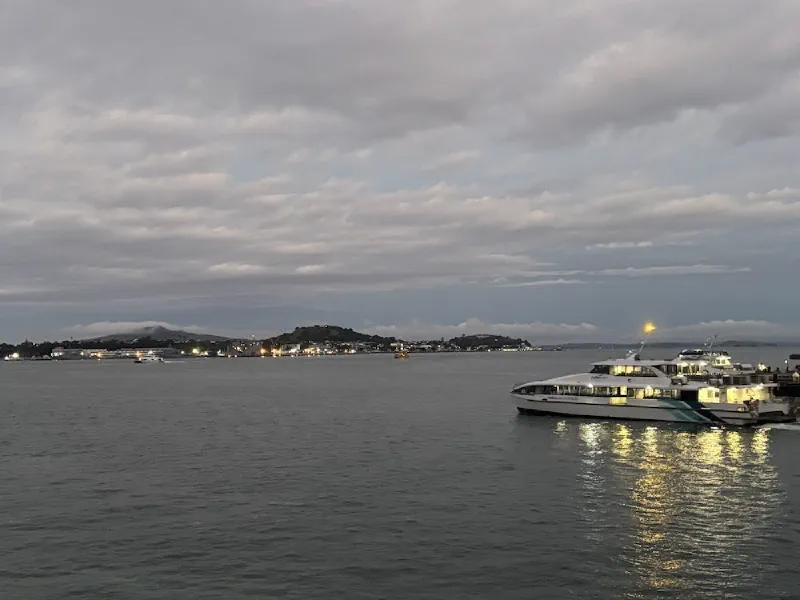 View of Queens Wharf from Gala Dinner